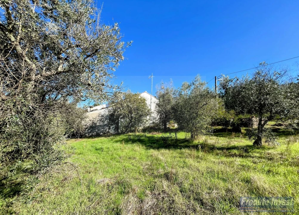 Quinta T3 para Venda em Enxames Foto 28