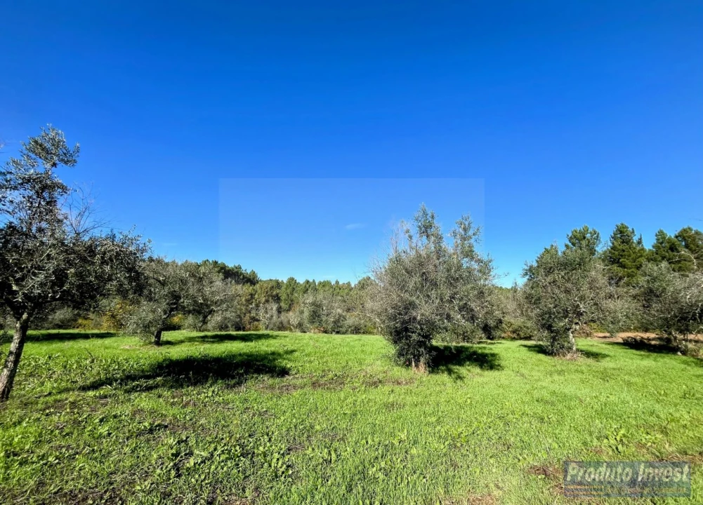 Quinta T3 para Venda em Enxames Foto 12