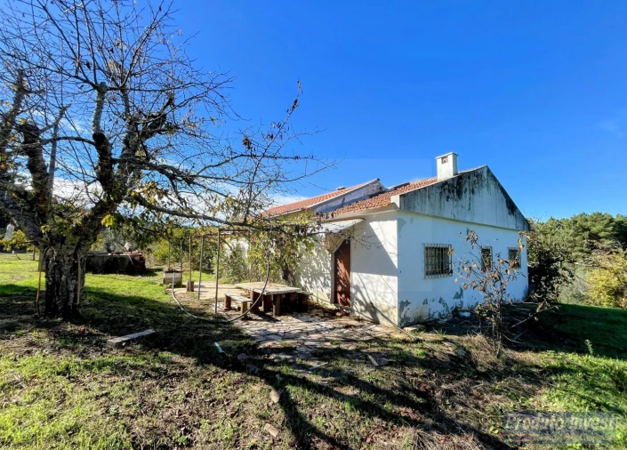 Quinta T3 para Venda em Enxames Foto 5