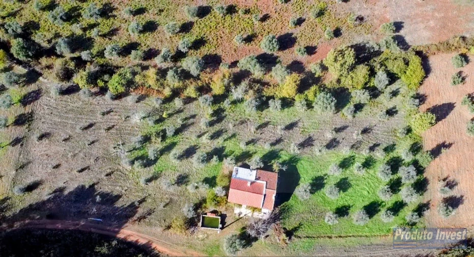 Quinta T3 para Venda em Enxames Foto 6