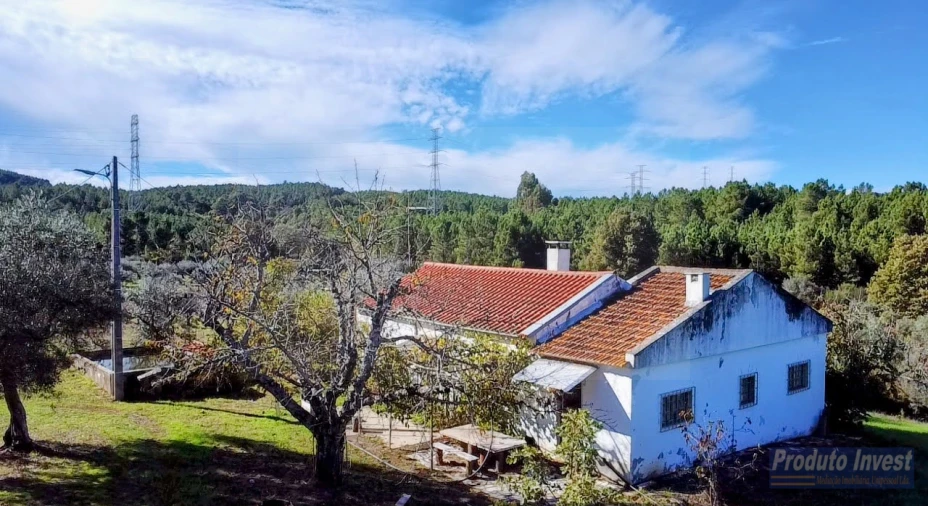 Quinta T3 para Venda em Enxames Foto 3