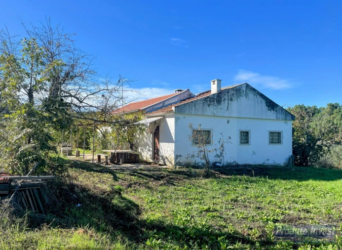 Quinta T3 para Venda em Enxames Foto 22