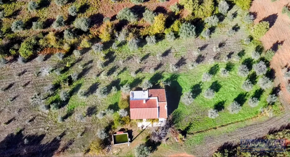 Quinta T3 para Venda em Enxames Foto 18