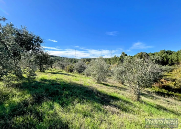 Quinta T3 para Venda em Enxames Foto 26