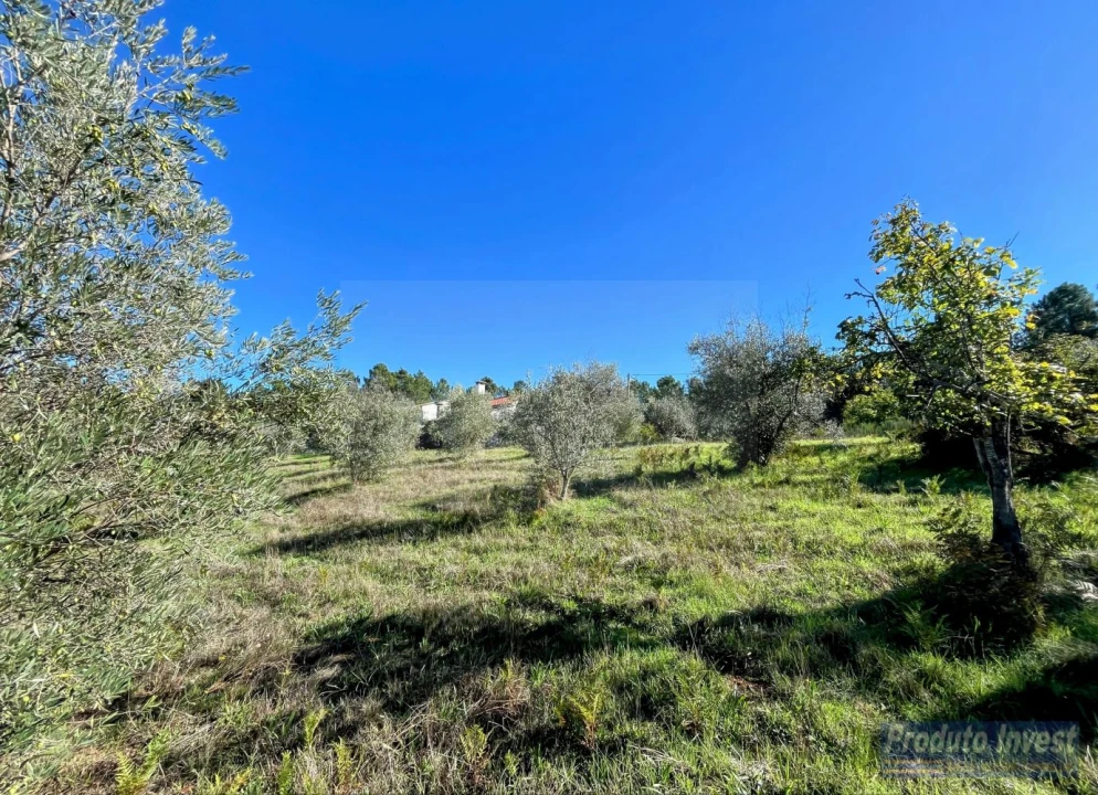 Quinta T3 para Venda em Enxames Foto 29