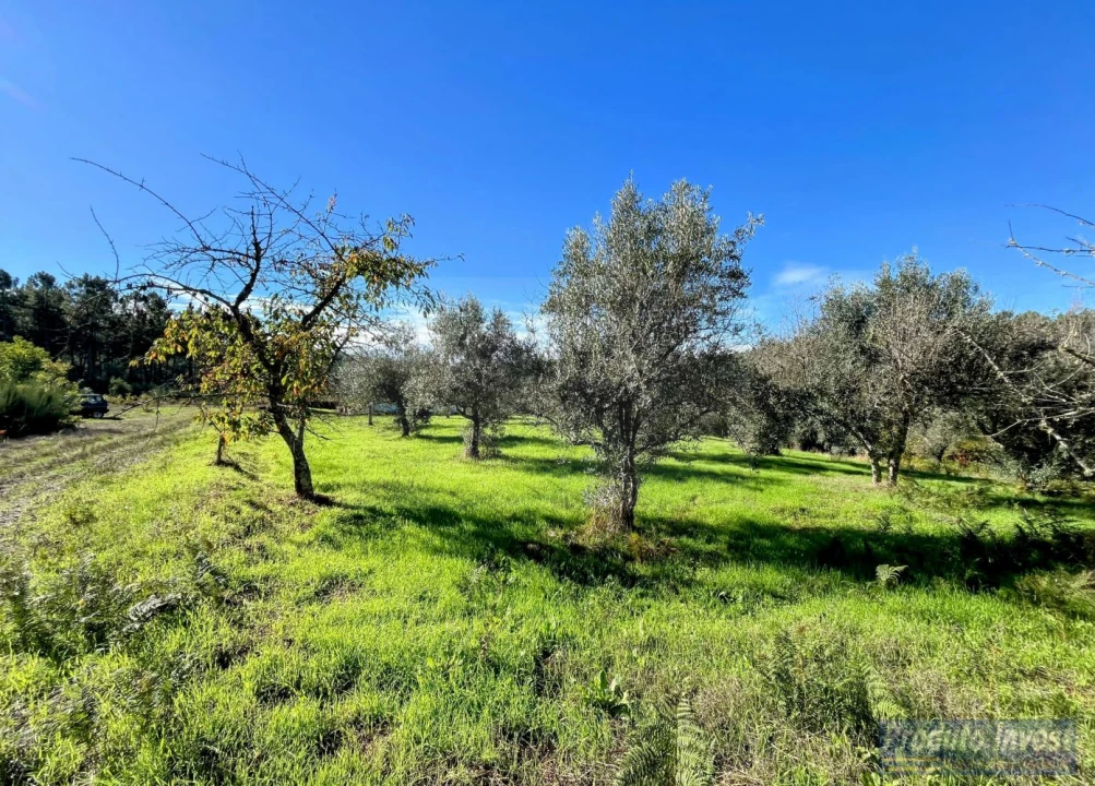 Quinta T3 para Venda em Enxames Foto 23