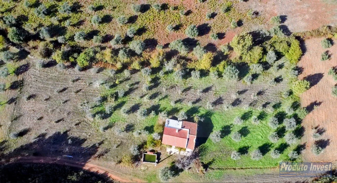 Quinta T3 para Venda em Enxames Foto 6