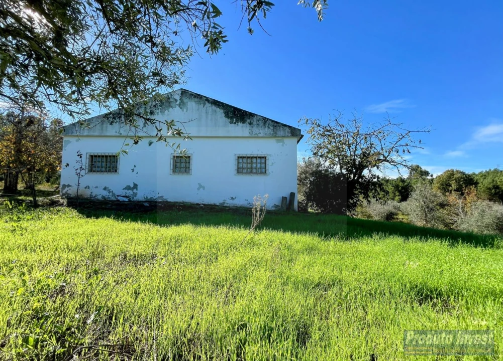 Quinta T3 para Venda em Enxames Foto 25