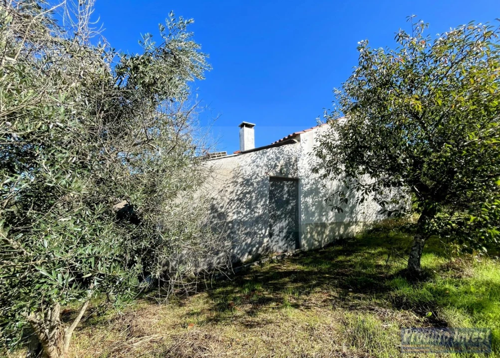 Quinta T3 para Venda em Enxames Foto 27