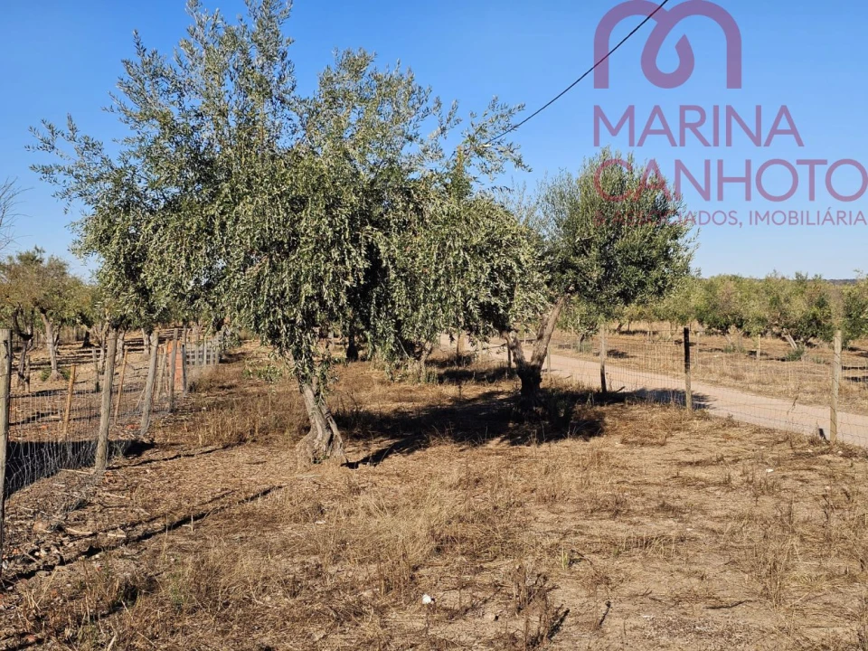 Moradia T3 para Venda em Santo Aleixo Foto 26