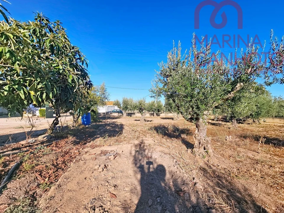 Moradia T3 para Venda em Santo Aleixo Foto 24