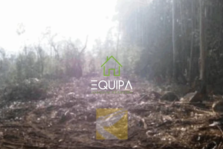 Terreno para Venda em Monte Córdova Foto 3