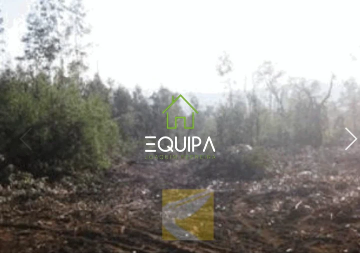 Terreno para Venda em Monte Córdova