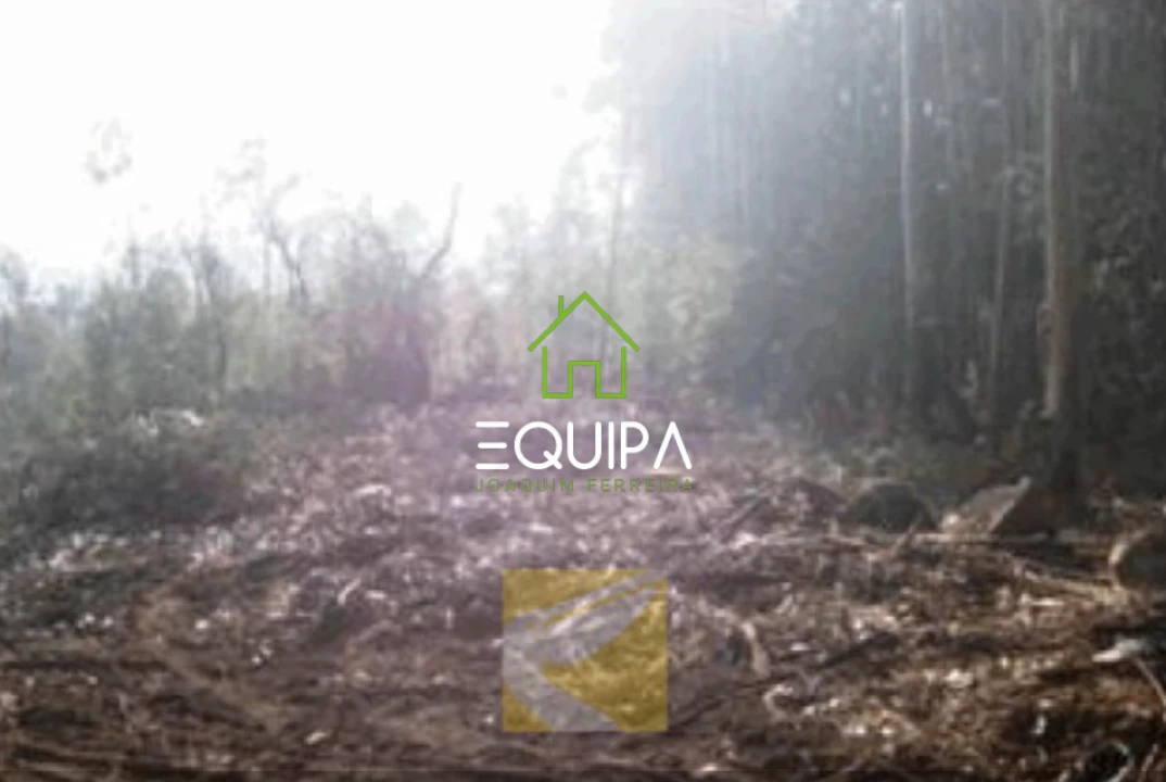 Terreno para Venda em Monte Córdova Foto 3