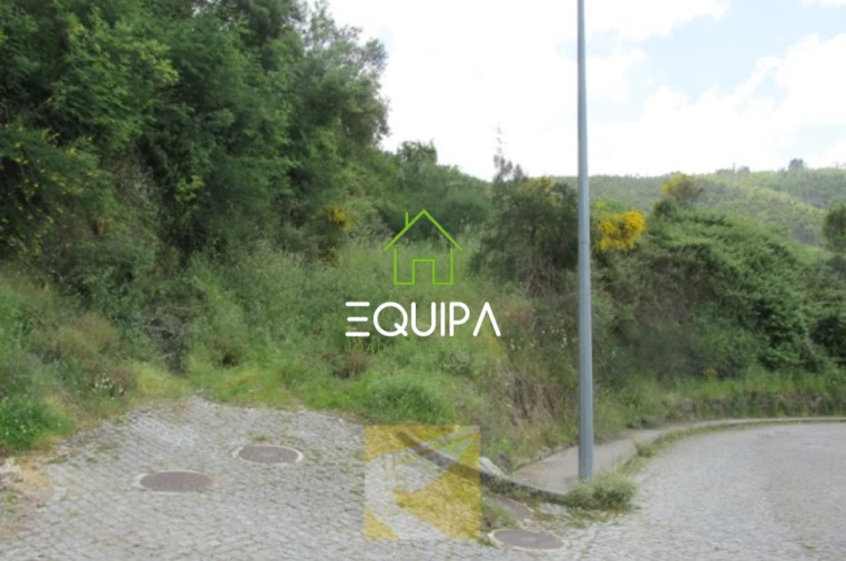 Terreno para Venda em São Tomé de Negrelos Foto 1