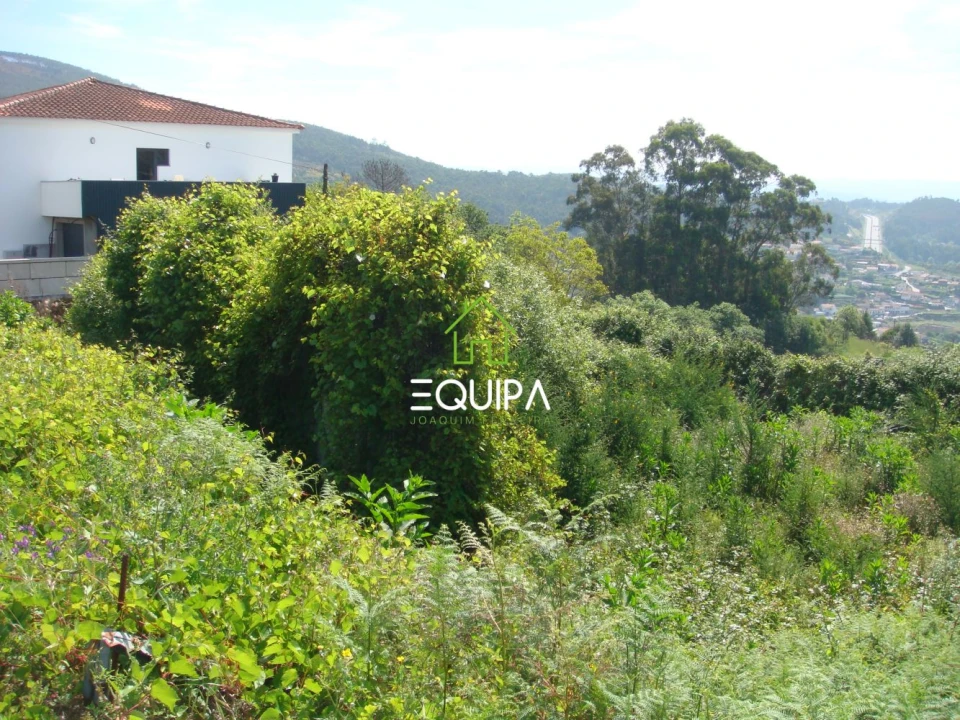 Terreno para Venda em Sousela Foto 14