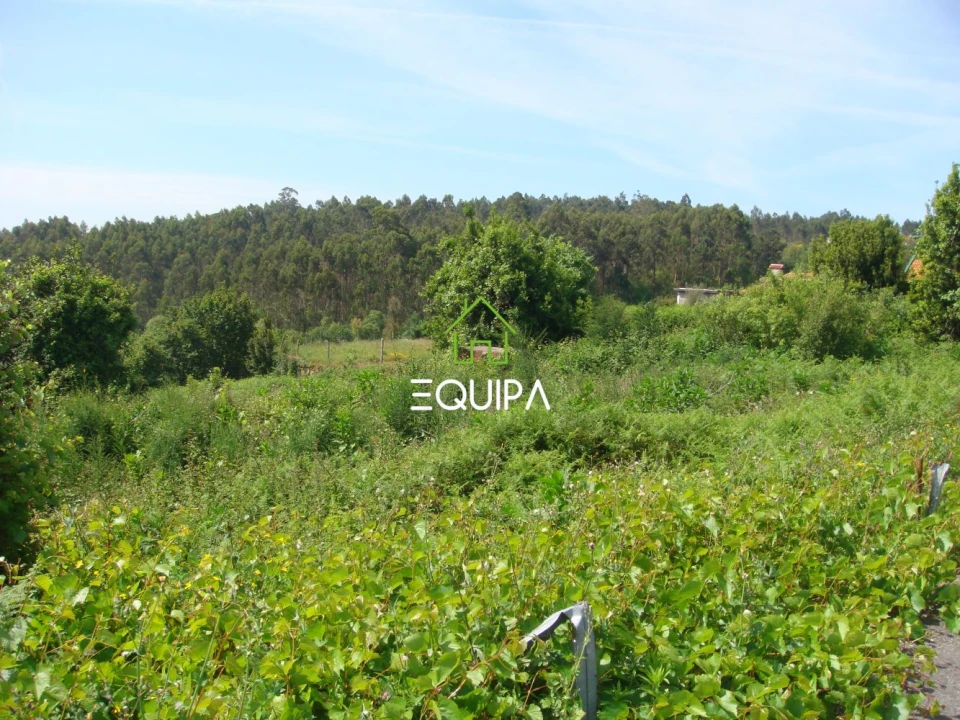 Terreno para Venda em Sousela Foto 17