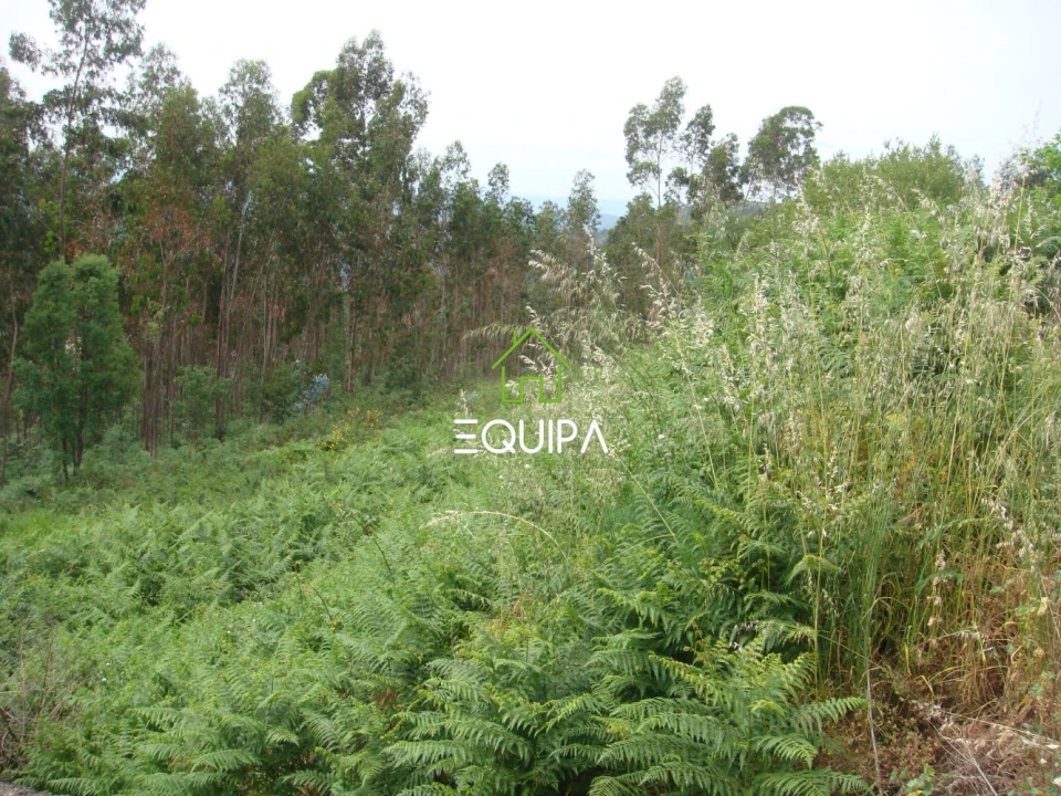 Terreno para Venda em Lustosa e Barrosas (Santo Estêvão) Foto 12