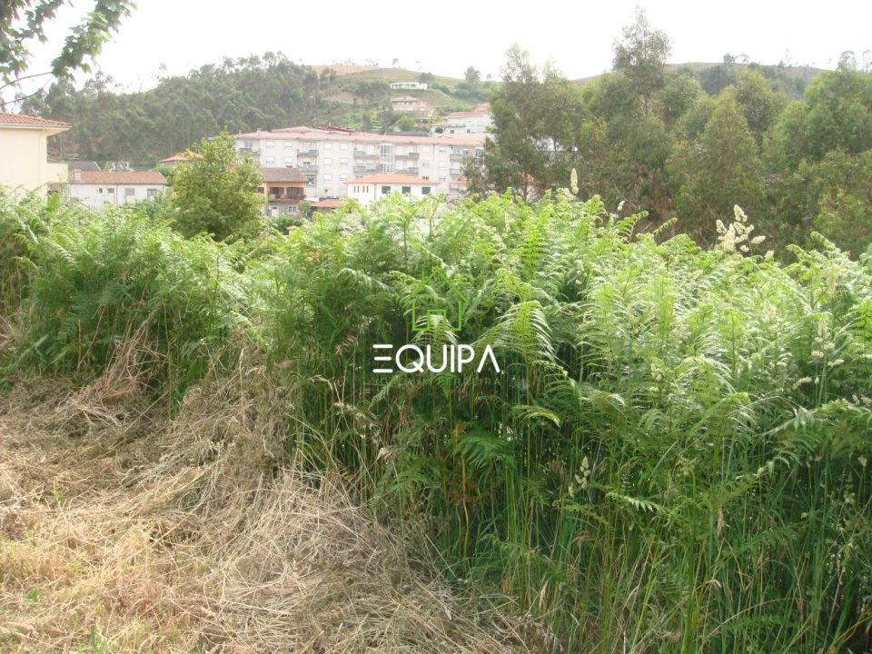 Terreno para Venda em Lustosa e Barrosas (Santo Estêvão) Foto 4