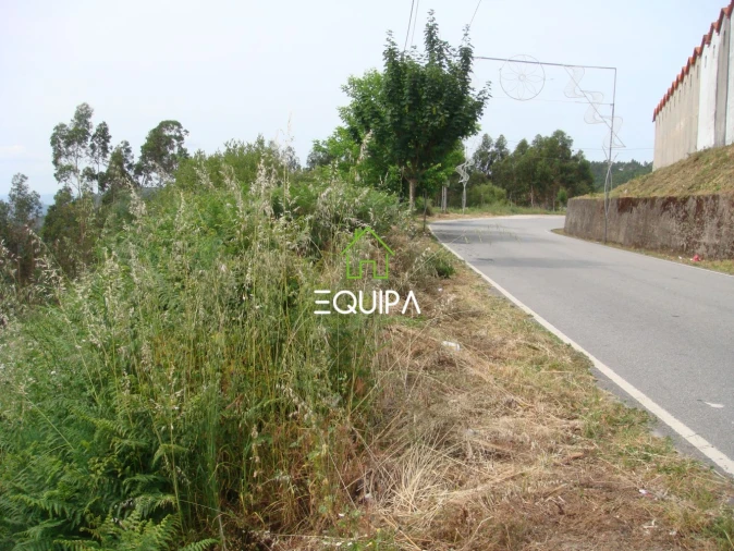 Terreno para Venda em Lustosa e Barrosas (Santo Estêvão) Foto 6
