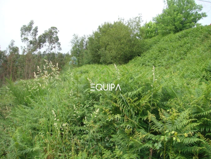 Terreno para Venda em Lustosa e Barrosas (Santo Estêvão) Foto 8