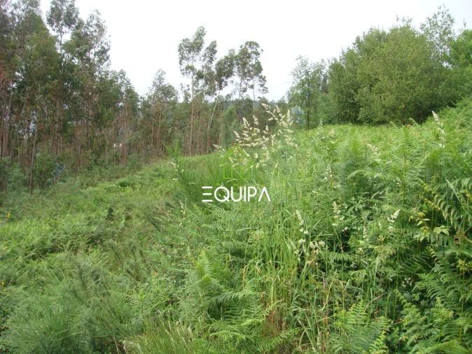 Terreno para Venda em Lustosa e Barrosas (Santo Estêvão) Foto 9