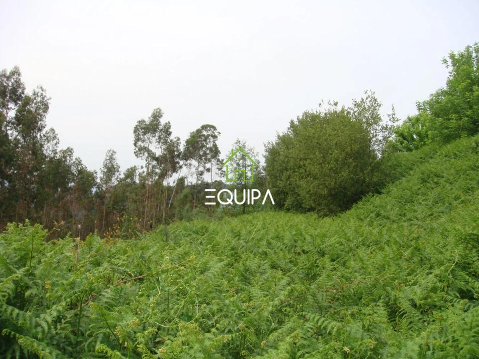 Terreno para Venda em Lustosa e Barrosas (Santo Estêvão) Foto 11