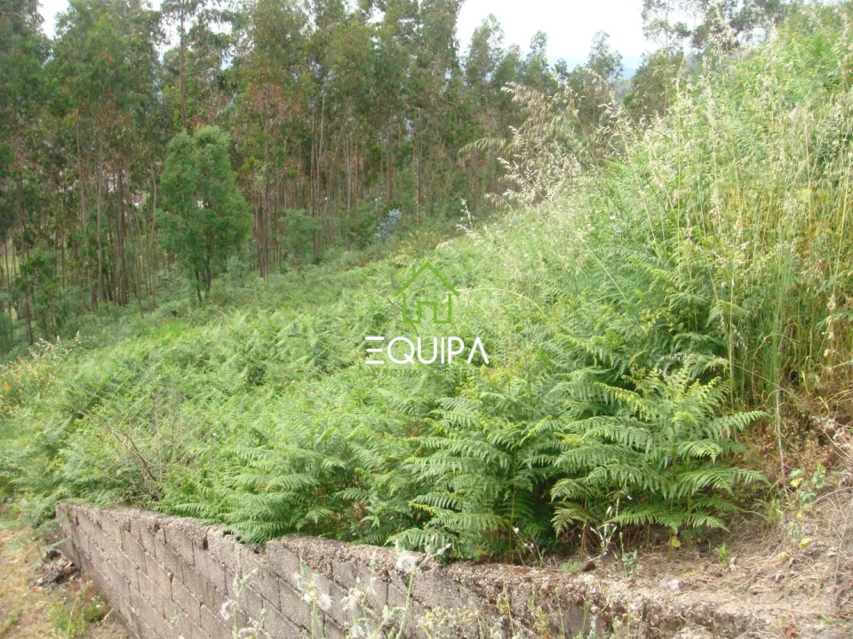 Terreno para Venda em Lustosa e Barrosas (Santo Estêvão) Foto 7