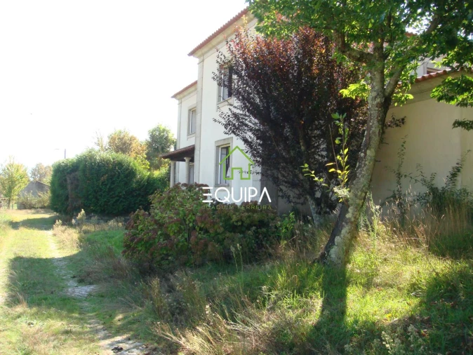 Quinta T0 para Venda em Povoa de Lanhoso (N. Senhora do Amparo) Foto 4