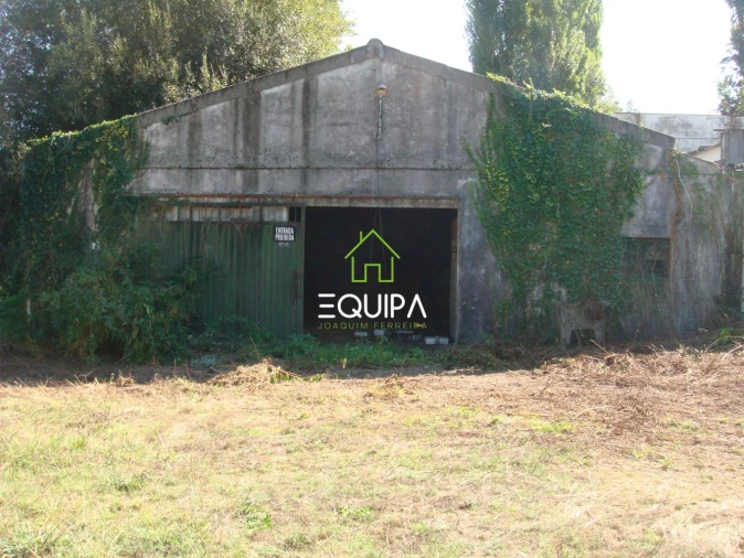 Quinta T0 para Venda em Povoa de Lanhoso (N. Senhora do Amparo) Foto 12