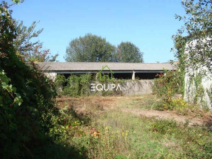 Quinta T0 para Venda em Povoa de Lanhoso (N. Senhora do Amparo) Foto 9