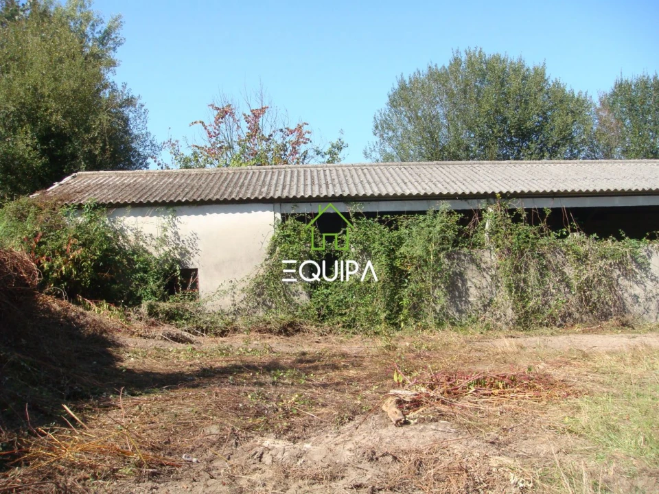 Quinta T0 para Venda em Povoa de Lanhoso (N. Senhora do Amparo) Foto 11