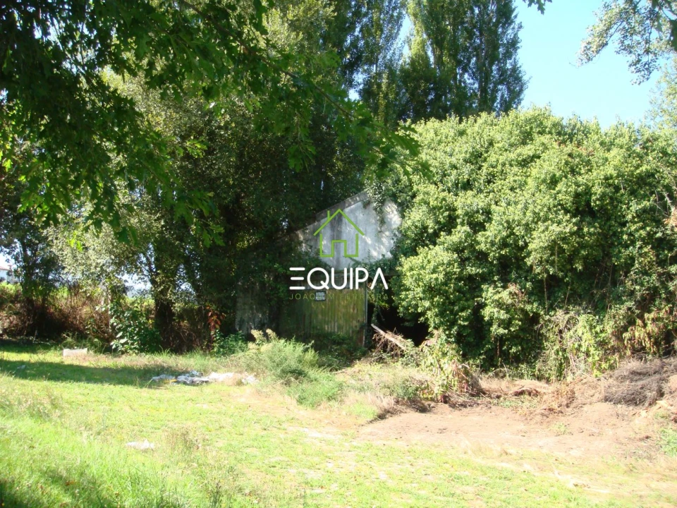 Quinta T0 para Venda em Povoa de Lanhoso (N. Senhora do Amparo) Foto 7