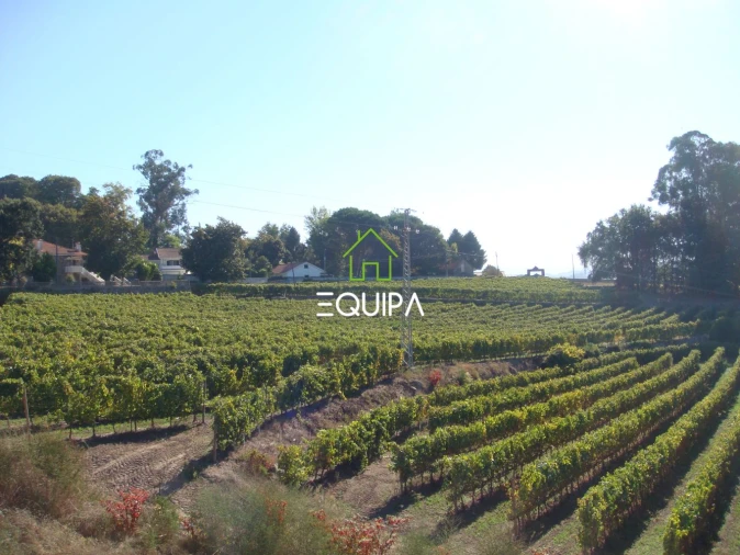 Moradia T5 para Venda em Margaride, Várzea, Lagares, Varziela, Moure Foto 24