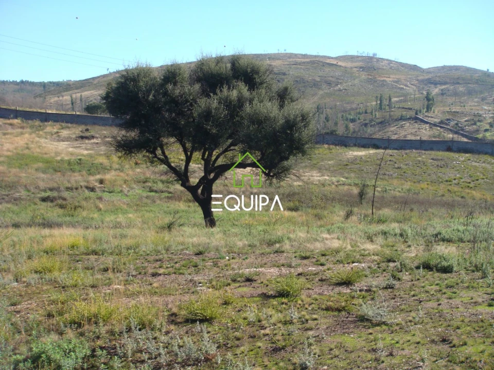 Moradia T5 para Venda em Sobreira Foto 26