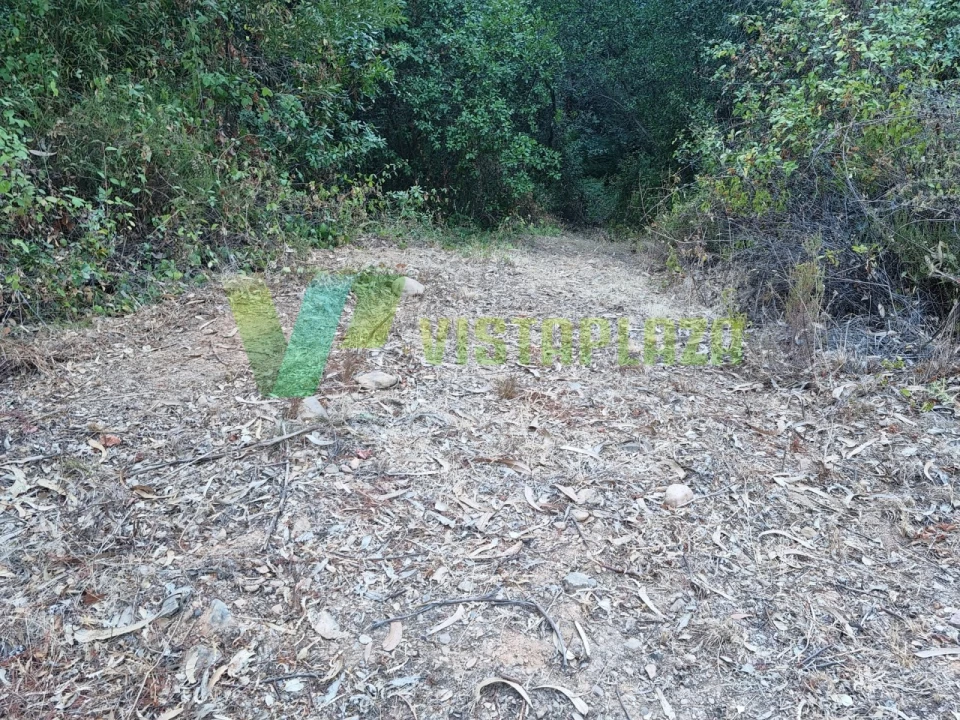 Terreno Agricola ou Rústico para Venda em Marmelete Foto 5