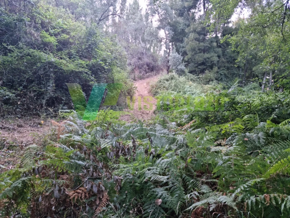Terreno Agricola ou Rústico para Venda em Marmelete Foto 16