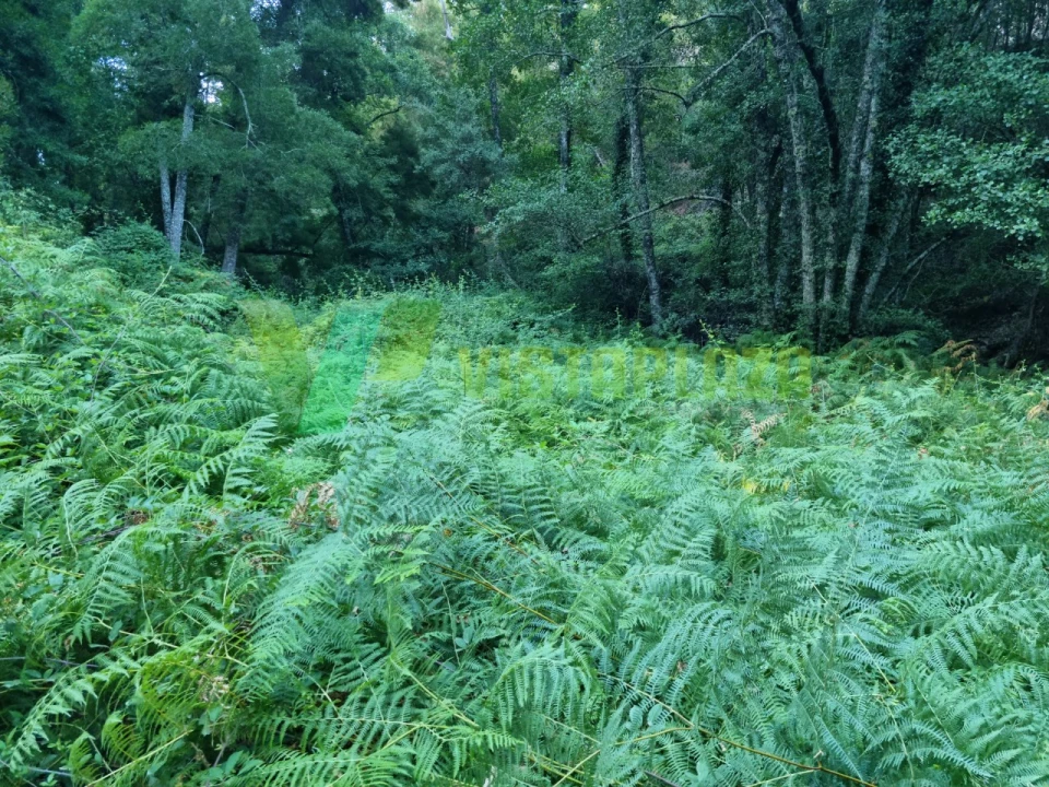 Terreno Agricola ou Rústico para Venda em Marmelete Foto 18