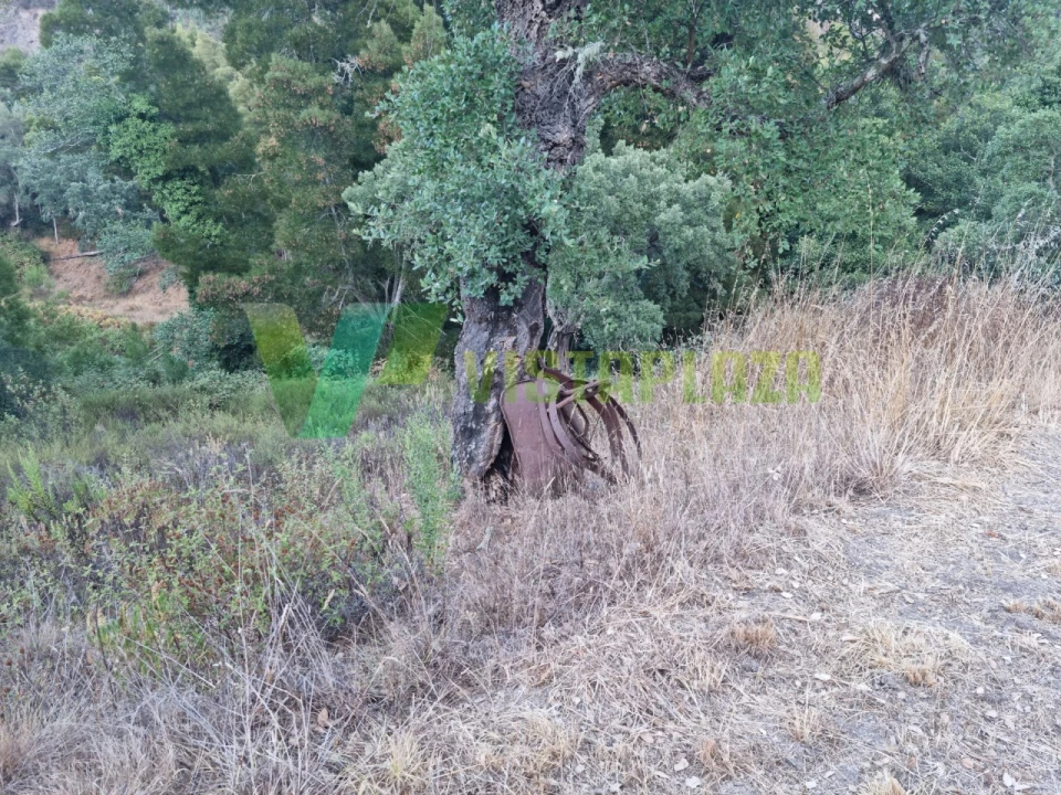 Terreno Agricola ou Rústico para Venda em Marmelete Foto 21