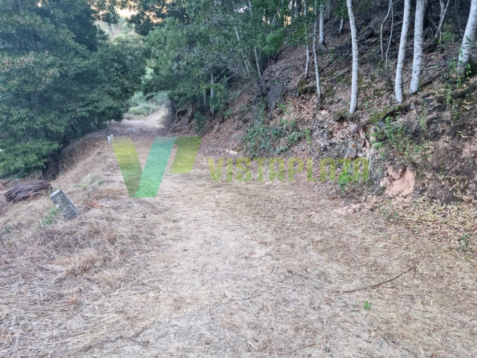 Terreno Agricola ou Rústico para Venda em Marmelete Foto 24
