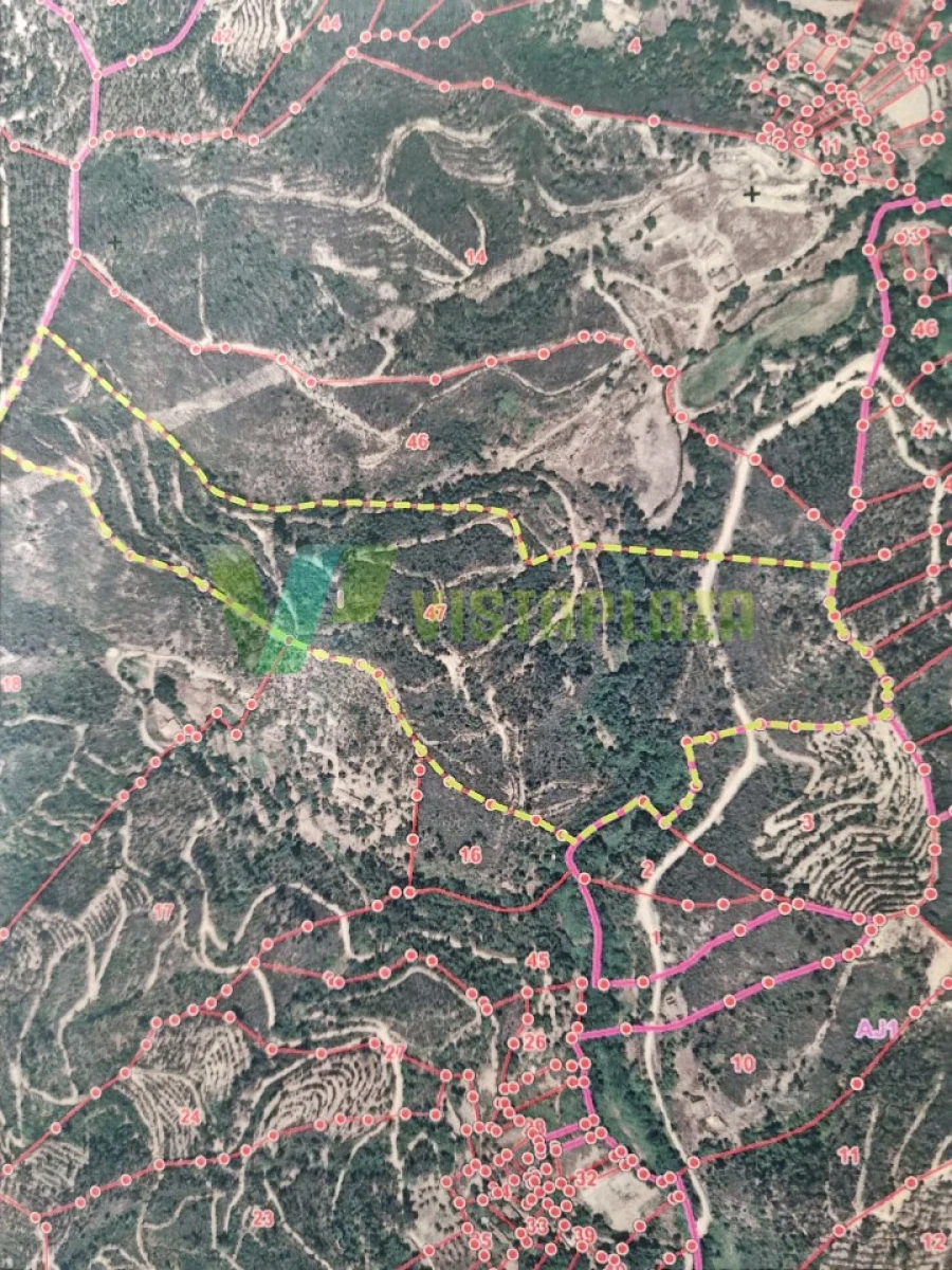 Terreno Agricola ou Rústico para Venda em Marmelete Foto 29