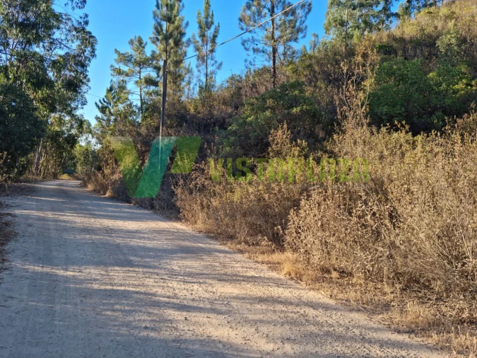 Terreno Agricola ou Rústico para Venda em Marmelete Foto 4