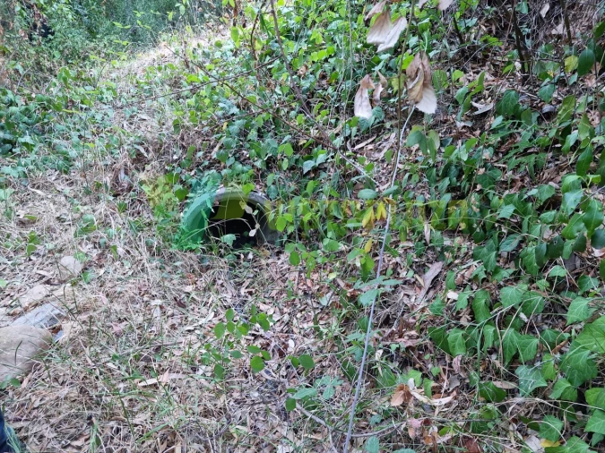 Terreno Agricola ou Rústico para Venda em Marmelete Foto 10