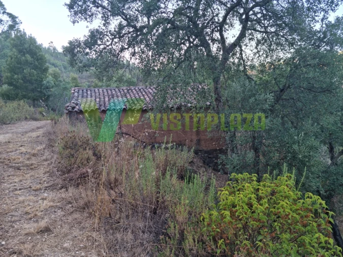Terreno Agricola ou Rústico para Venda em Marmelete Foto 3