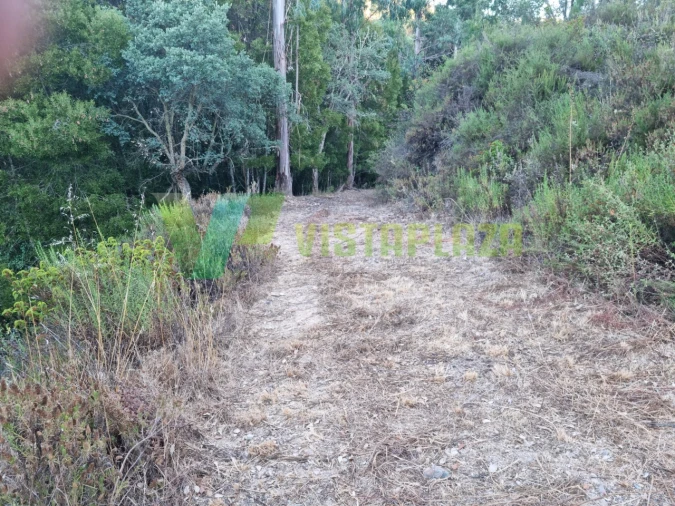 Terreno Agricola ou Rústico para Venda em Marmelete Foto 26