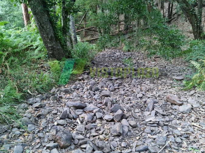 Terreno Agricola ou Rústico para Venda em Marmelete Foto 15