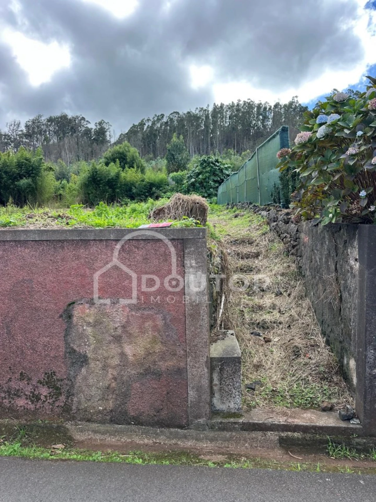 Terreno para Venda em Porto Moniz Foto 2