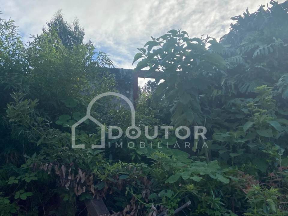 Terreno para Venda em Porto Moniz Foto 3