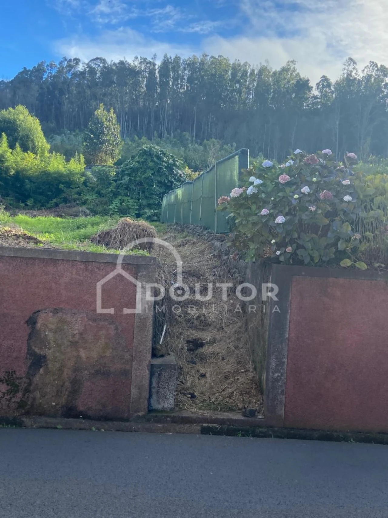 Terreno para Venda em Porto Moniz Foto 6