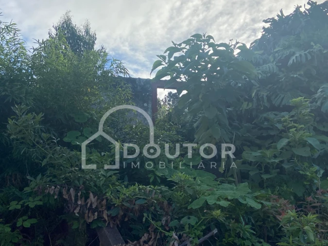 Terreno para Venda em Porto Moniz Foto 3